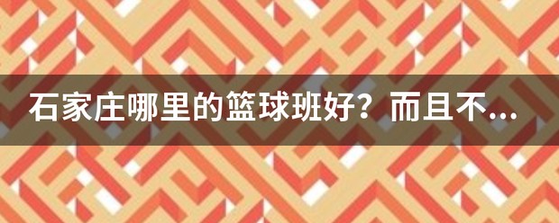 石家庄哪个篮球训练营最好